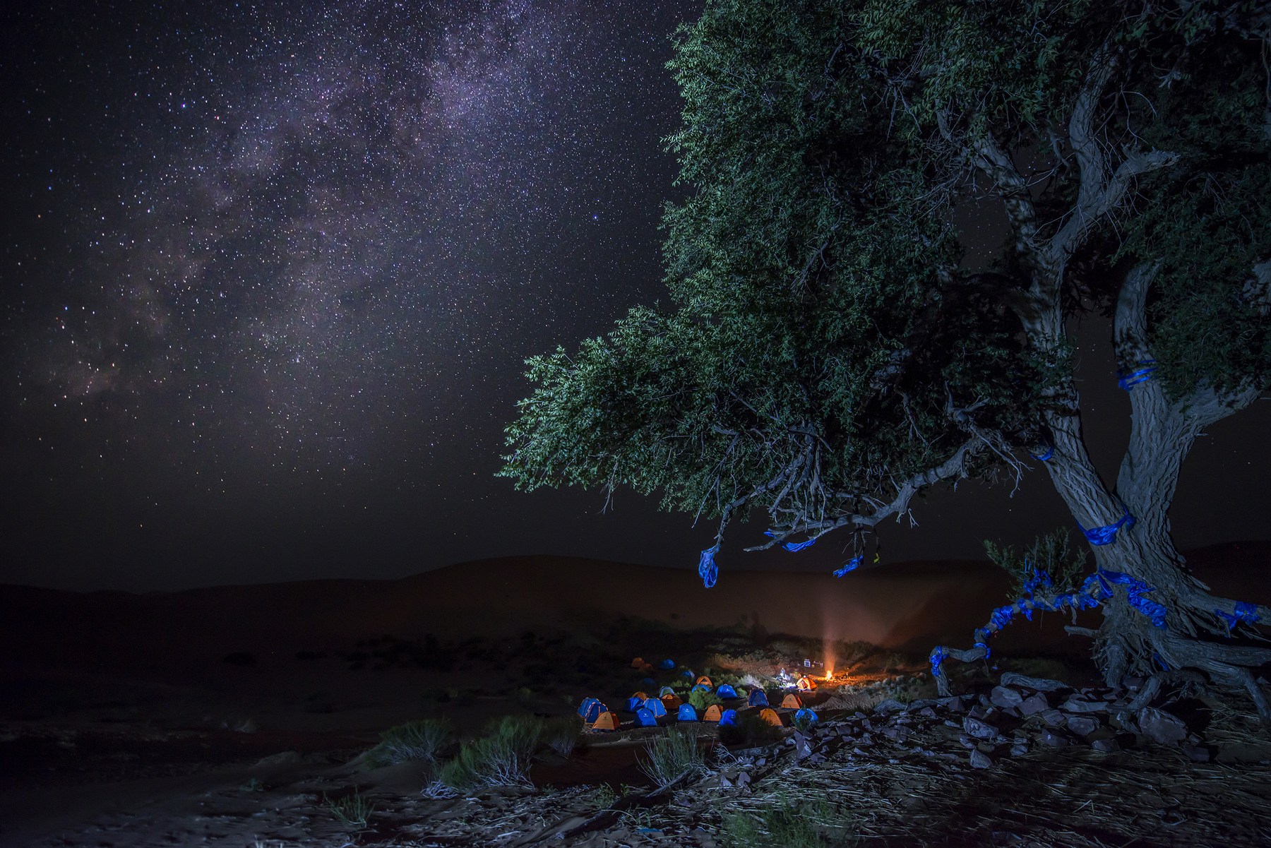 A star-filled desert sky above tents and a campfire near a large tree in Ningxia.